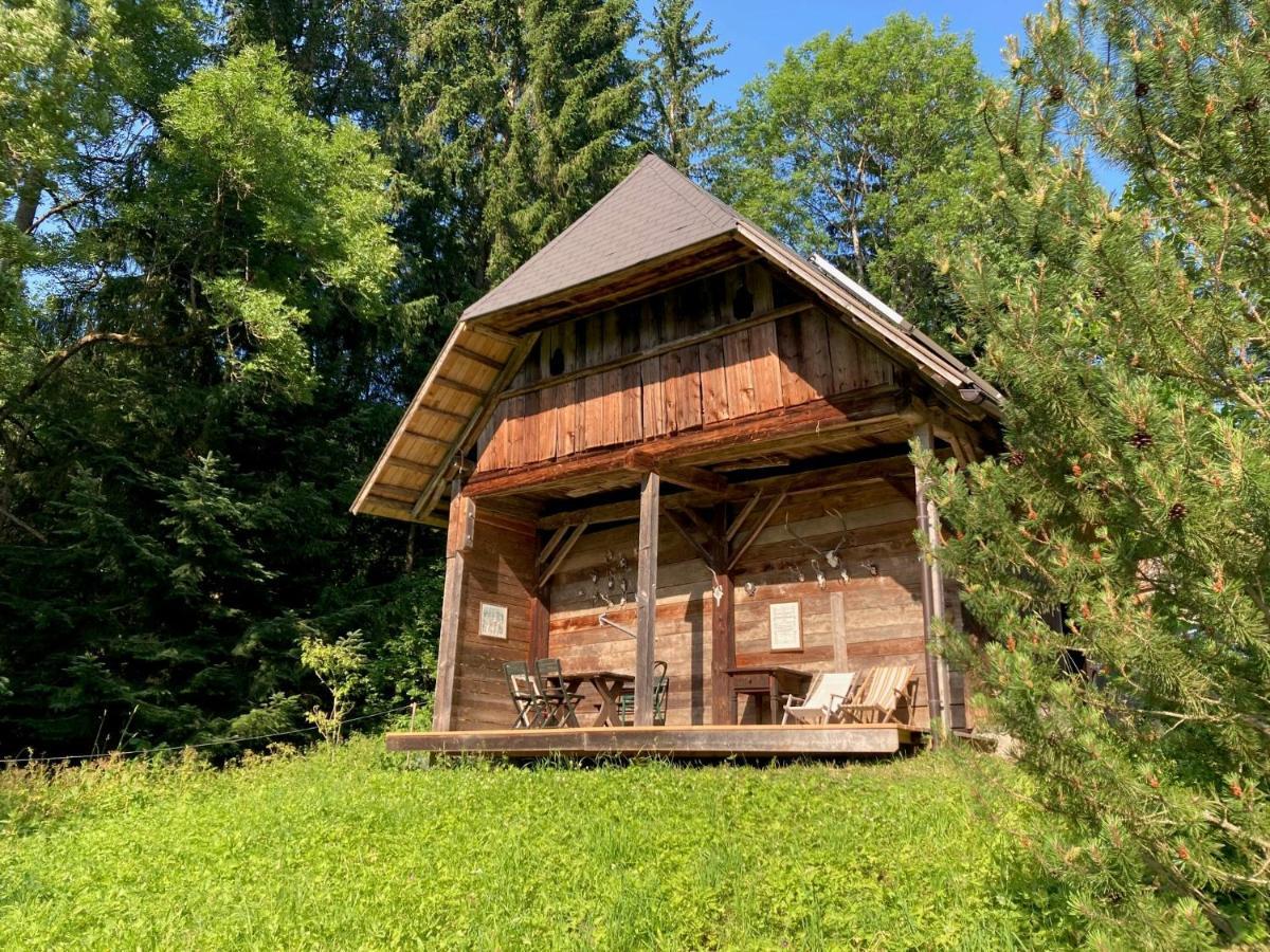 Charmante Gaestewohnung In Altem Bauernhaus In Alpiner Alleinlage Stanz Im Murztal Ngoại thất bức ảnh