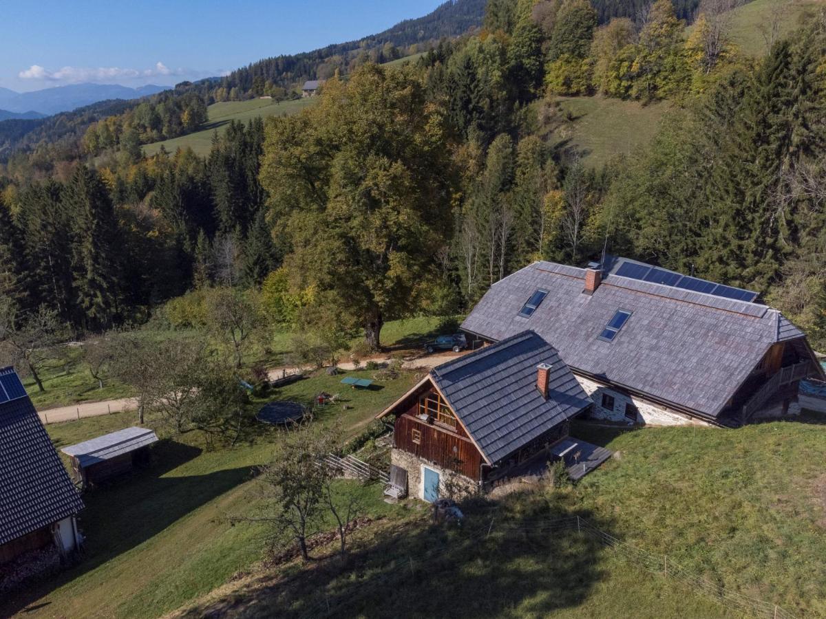 Charmante Gaestewohnung In Altem Bauernhaus In Alpiner Alleinlage Stanz Im Murztal Ngoại thất bức ảnh