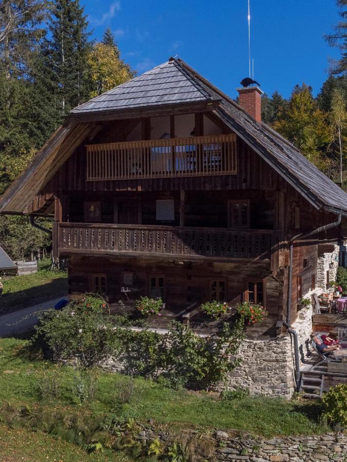 Charmante Gaestewohnung In Altem Bauernhaus In Alpiner Alleinlage Stanz Im Murztal Ngoại thất bức ảnh